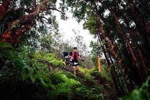 BIB: 
                            <button type="button" onclick="openModal(26202528)" class="btn btn-primary btn-sm float-right btn-popup" data-toggle="modal" data-target=".modal-high-quality">
                        <i class="fas fa-shopping-cart"></i> Add to Cart
                    </button>
                                            <button type="button" onclick="isThisMe(26202528, true)" class="btn btn-success btn-sm float-right btn-popup btn-isme hidden" data-toggle="tooltip" data-placement="bottom" title="นี่คือรูปของคุณใช่ไหม คลิกที่นี่เพื่อเอาเข้าอัลบั้ม">
                        <i class="fas fa-plus"></i> Add to album
                    </button>
                    <button type="button" onclick="isThisMe(26202528, false)" class="btn btn-warning btn-sm float-right btn-popup btn-isnotme hidden">
                        <i class="fas fa-ban"></i> Remove from album
                    </button>